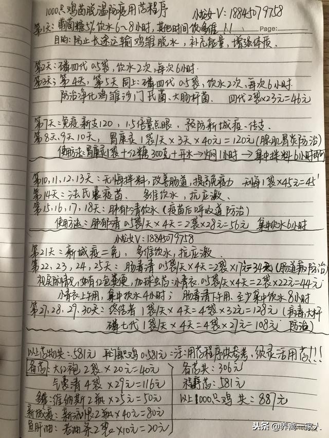 养鸡秘诀：散养土鸡营养餐—黄粉虫养殖技术揭秘 太详细了！收藏！