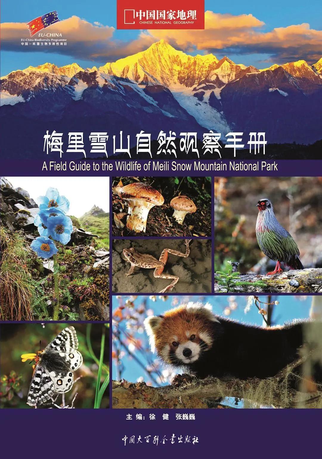 Angela的旅行书单1 | 旅行和阅读，必须有一个在路上