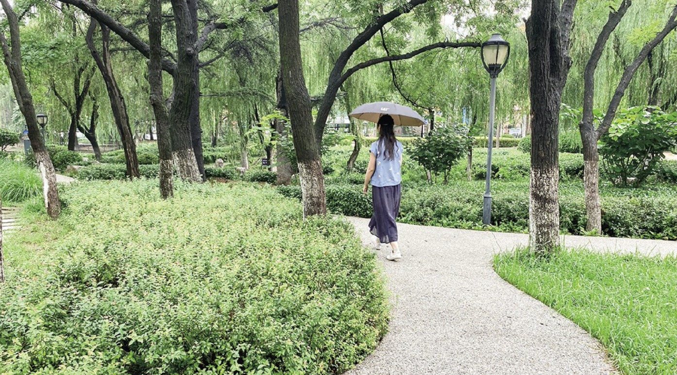 青岛这个区今年将整治完善9座山头公园，建设改造3处口袋公园，实现&ldquo;推窗观景、出门入园&rdquo;