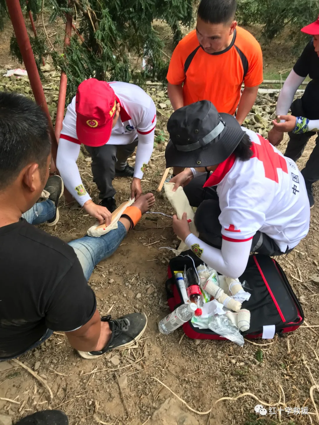 虎鹿一村民采摘香榧不慎受伤,救援队员接力将其运送下山