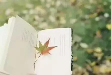 头条创作个人的一点见解