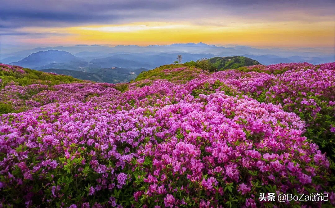 到雲南臨滄旅遊必去的7大景點，你去過幾個？最愛哪個景點？