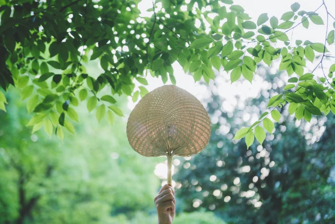 10首夏天的诗，清新又美好-第6张图片-非凡网