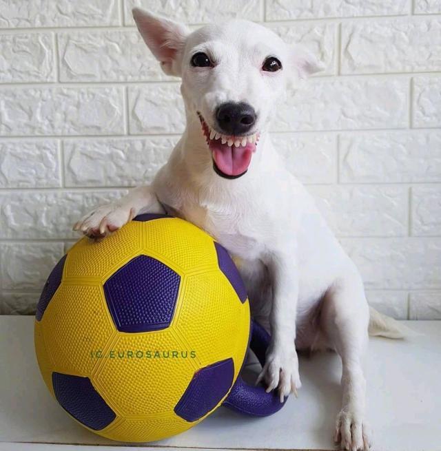 哄女孩开心的幽默笑话，个个奇趣横生