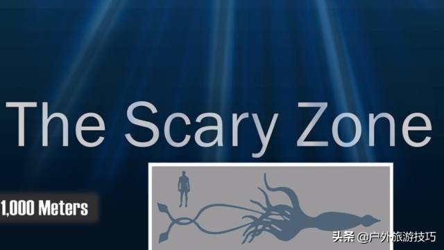 海洋探險知識：絕大部分人，對大海還一無所知，讀懂此文了解海洋