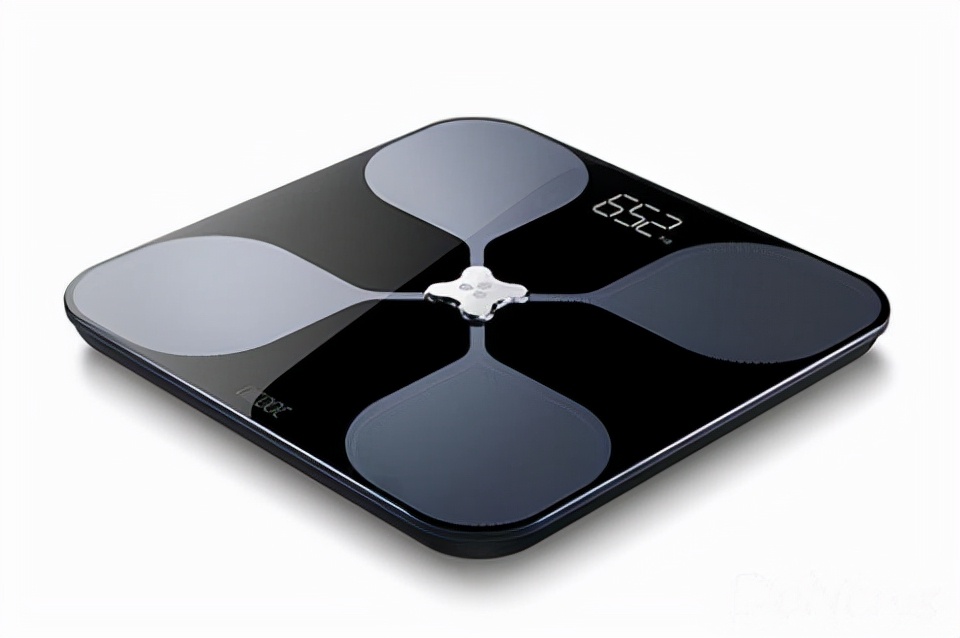 Japanese electronic scale certification, Japanese weight scale