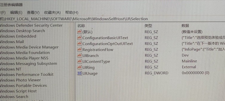 最新windows11 22000.51Dev版更新，附万能安装法