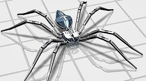 seo蜘蛛是什么，了解网络蜘蛛？