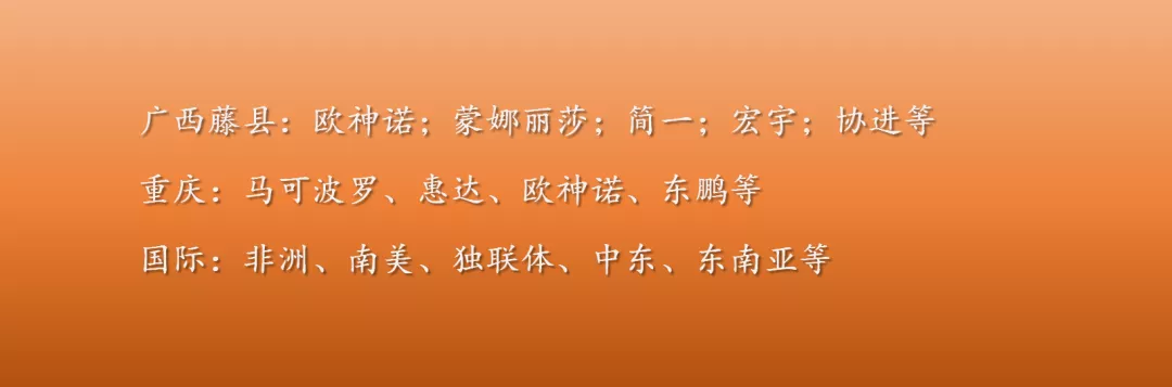 尹虹:瓷砖区域经销代理商,不可能被替代