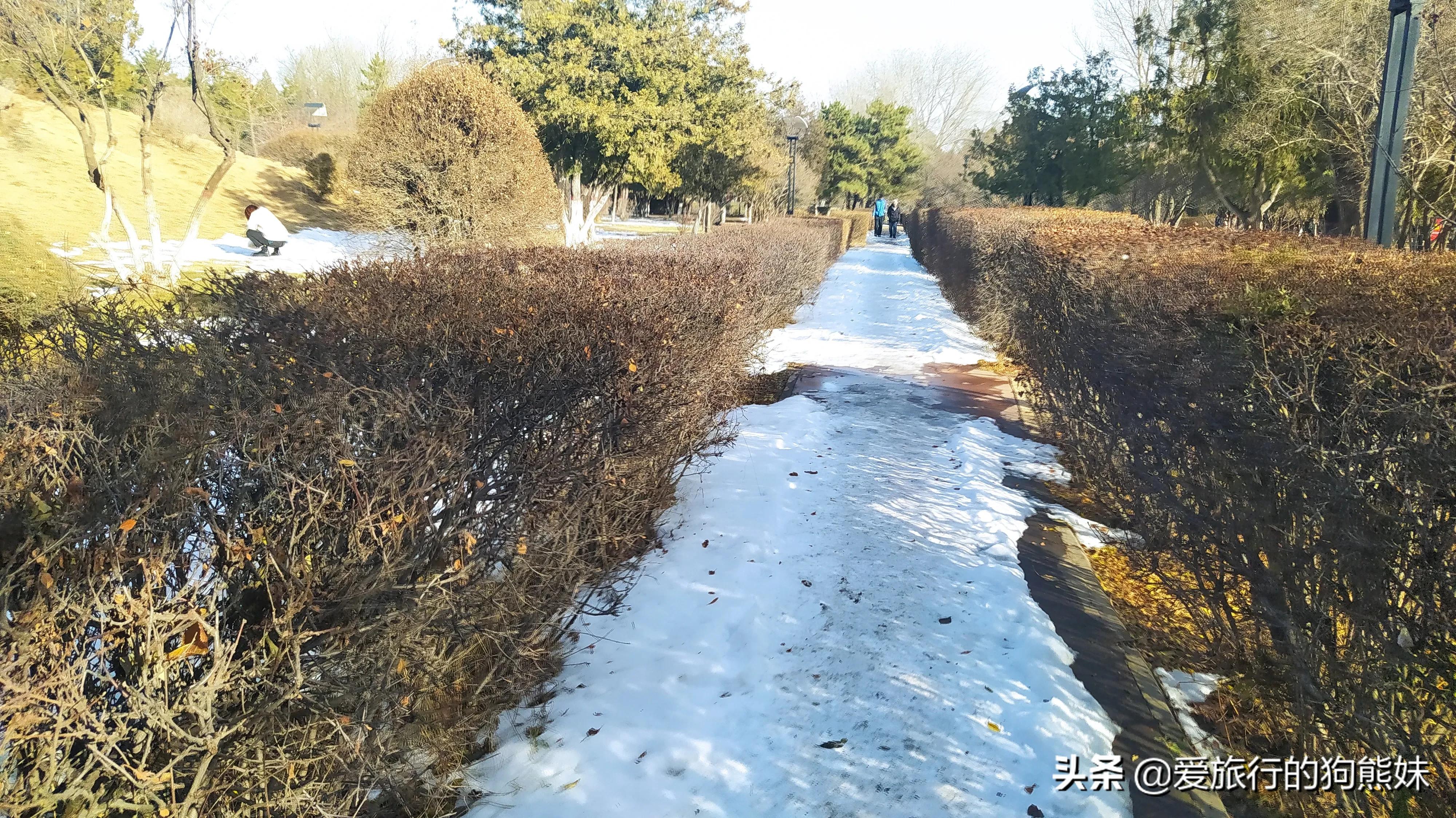 The winter snow scene in Datong Park, the permanent Ferris wheel is ...