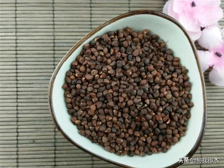 「馬蘭花馬蘭花，風吹雨打都不怕」，童謠馬蘭花究竟是什麼花？ - 頭條匯