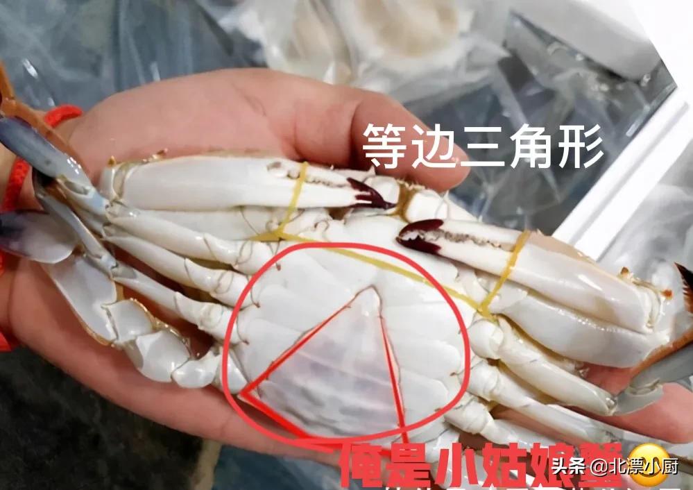 买螃蟹，公蟹和母蟹区别大；牢记3买3不买，螃蟹个个膏满黄肥