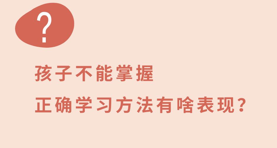 合肥市南岗小学怎么样?缓解家长内心的焦虑(图5)