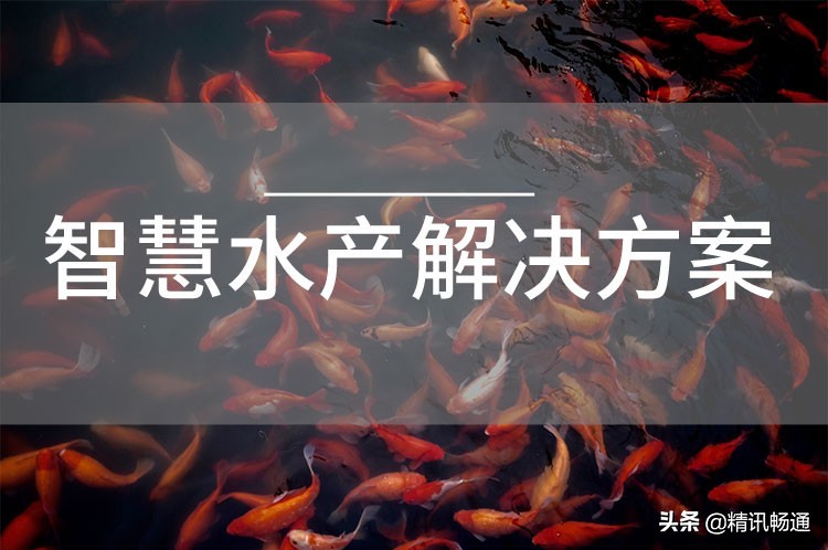 智慧水产养殖解决方案