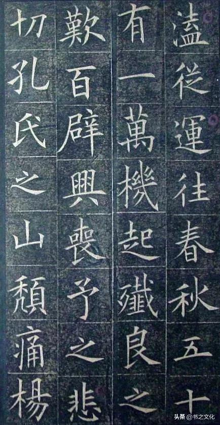 被修复后的欧体,美到骨子里