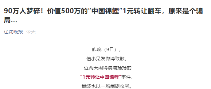 90万人梦碎！可信小呆的锦鲤一生，真那么痛快吗？