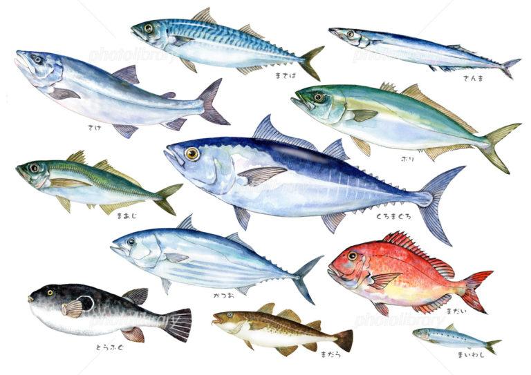 Babies are particular about eating fish!How to choose complementary ...