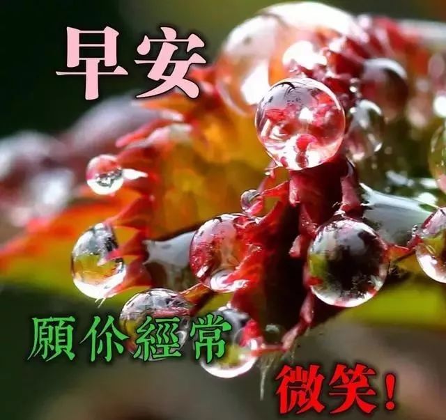 早安文案问候图片 愿你经常微笑图片