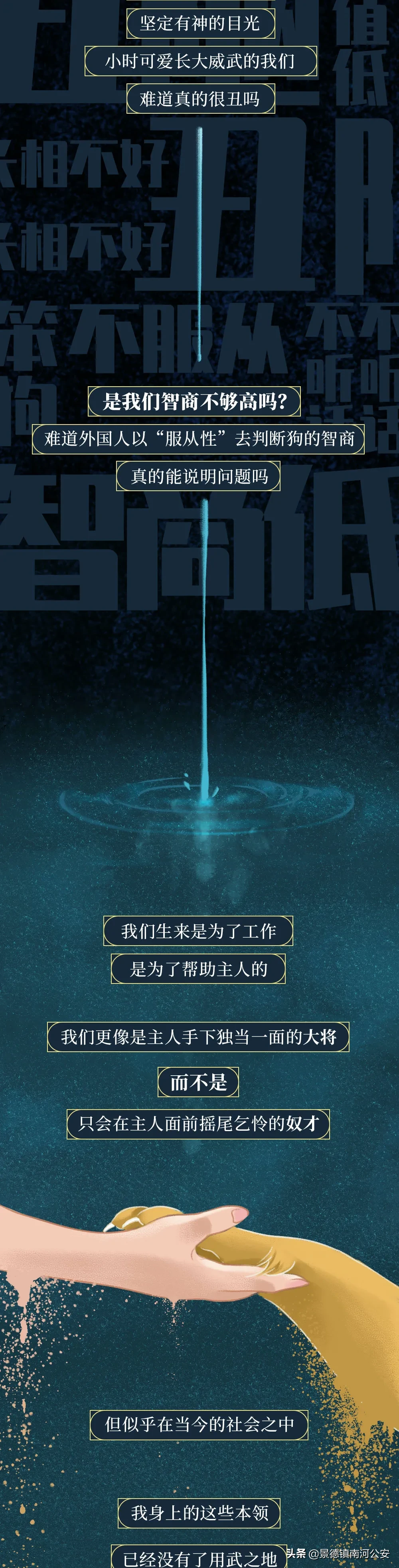 你凭什么看不起中国土狗？