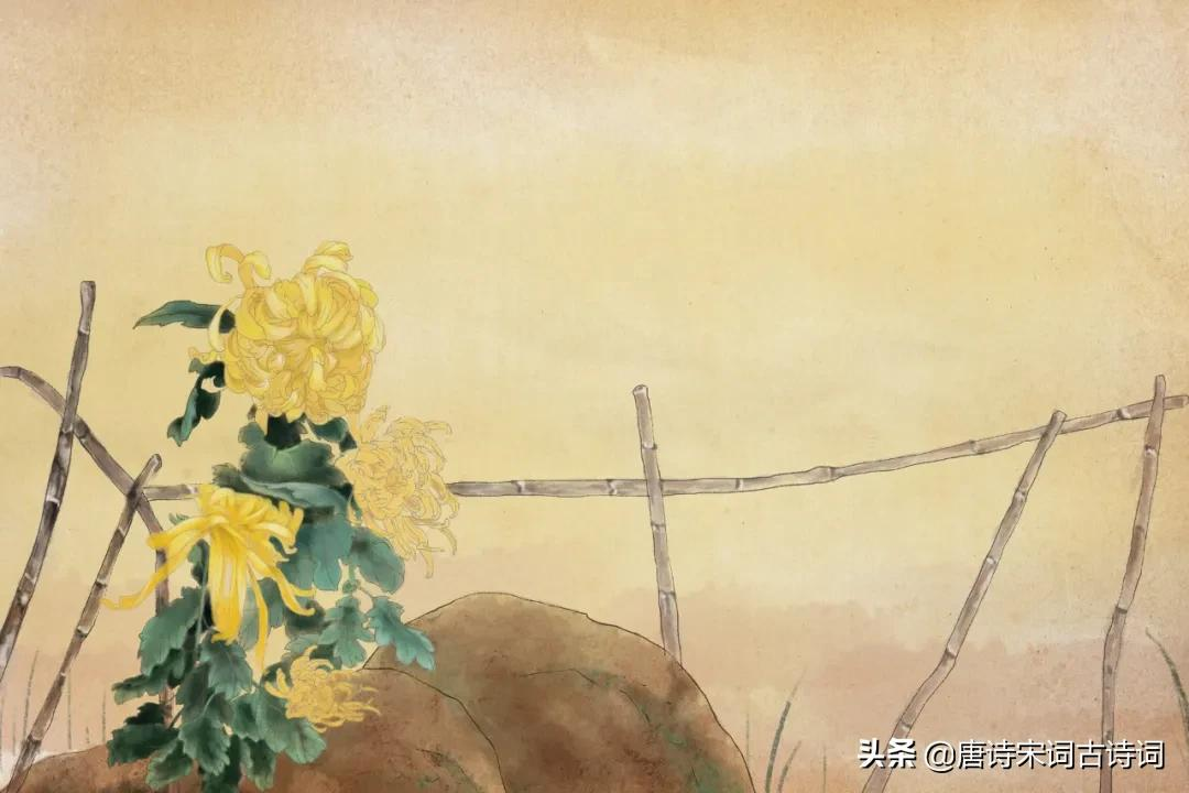 青山修竹矮篱笆,仿佛林泉隐者家-第5张图片-非凡网 青山修竹矮篱笆,仿佛林泉隐者家-第5张图片-非凡网