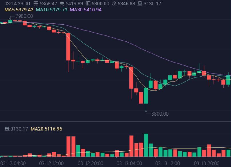 ビットコインの歴史上最も驚くべき24時間を振り返る
