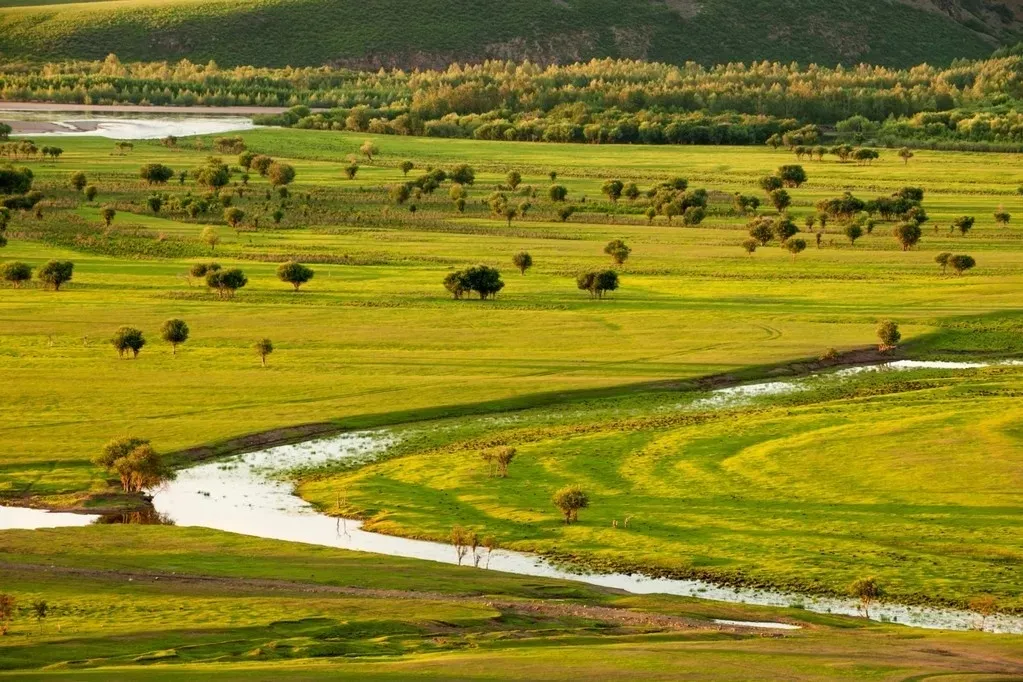 Repelling the scorching summer grassland paradise, Hulunbuir travels the most beautiful route, parent-child vacation praises