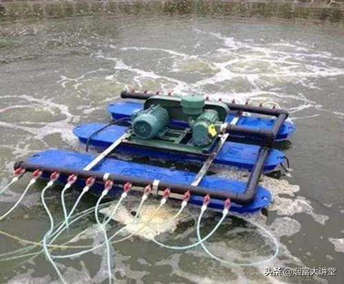 加强果树灾后管理:排涝、恢复树势刻不容缓