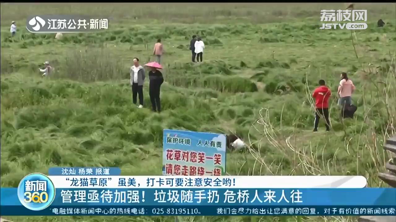 南京版“龙猫草原”虽美，打卡要注意安全！栈桥属危桥，禁止入内