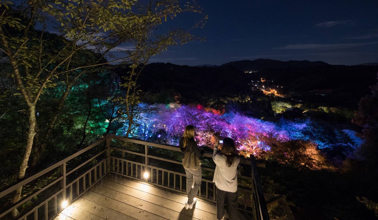 日本御船山乐苑「众神居住的森林」，自然与科技的完美结合