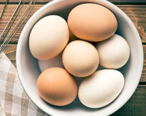 关于鸡蛋的十个问题