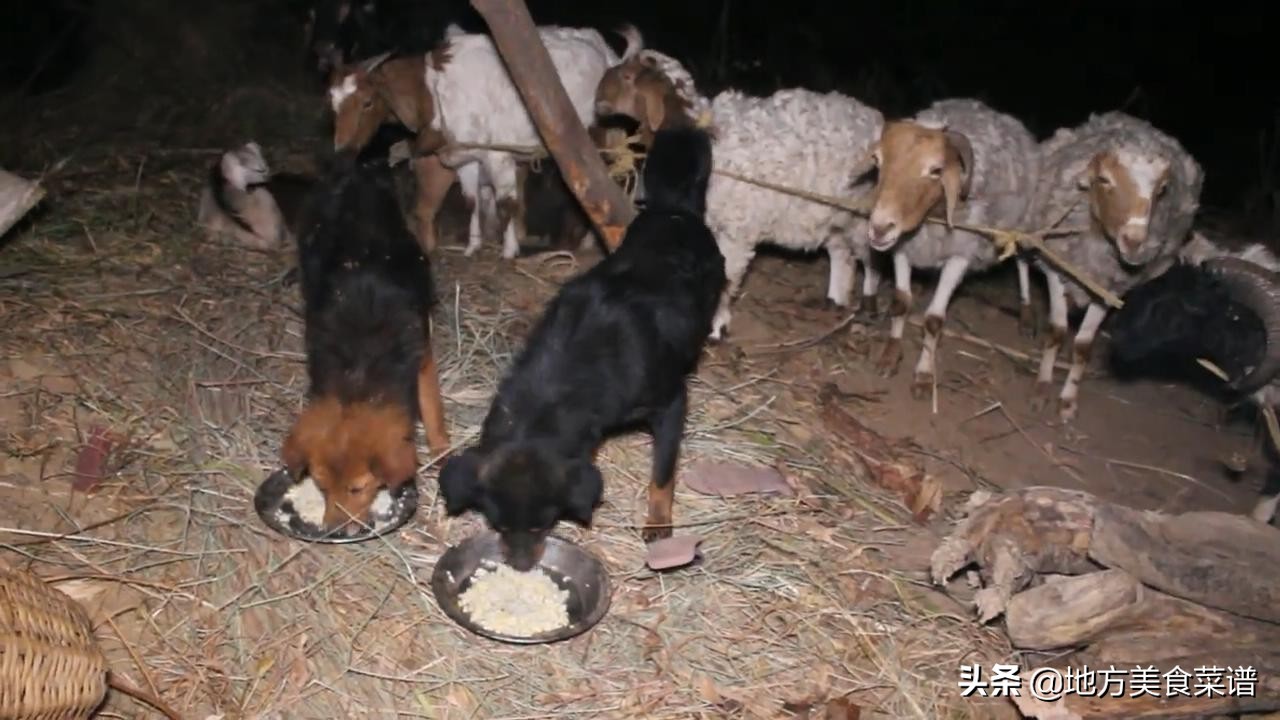 中国小伙给尼泊尔山区三姐弟送牛肉，看到她们的生活状况，真心酸