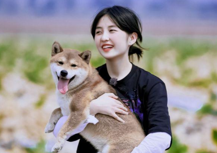 《向往的生活5》常驻阵容曝光，男人帮成员加盟