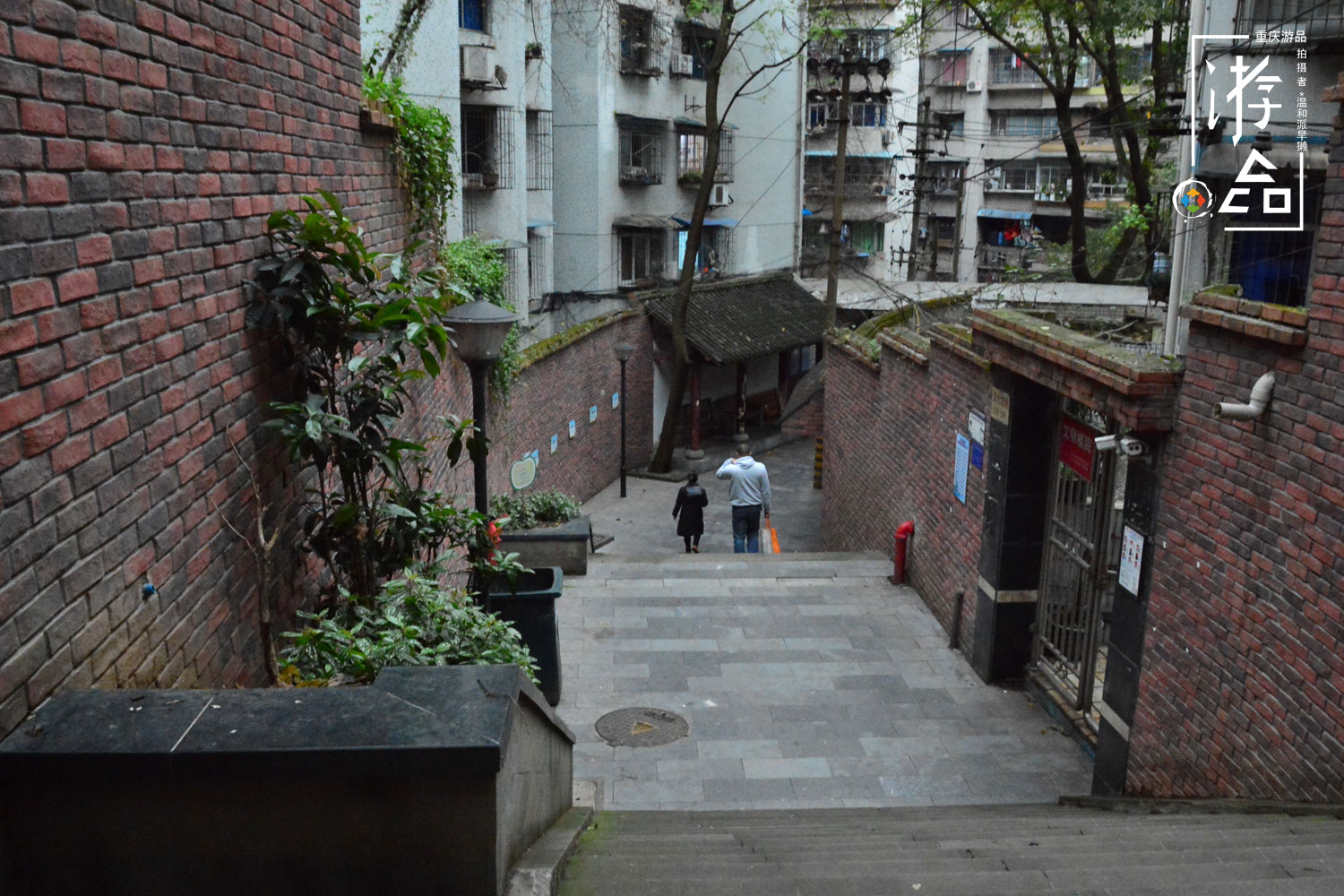 毛骨悚然的重庆话：“杀起一双拖孩儿”，正确写法是什么？