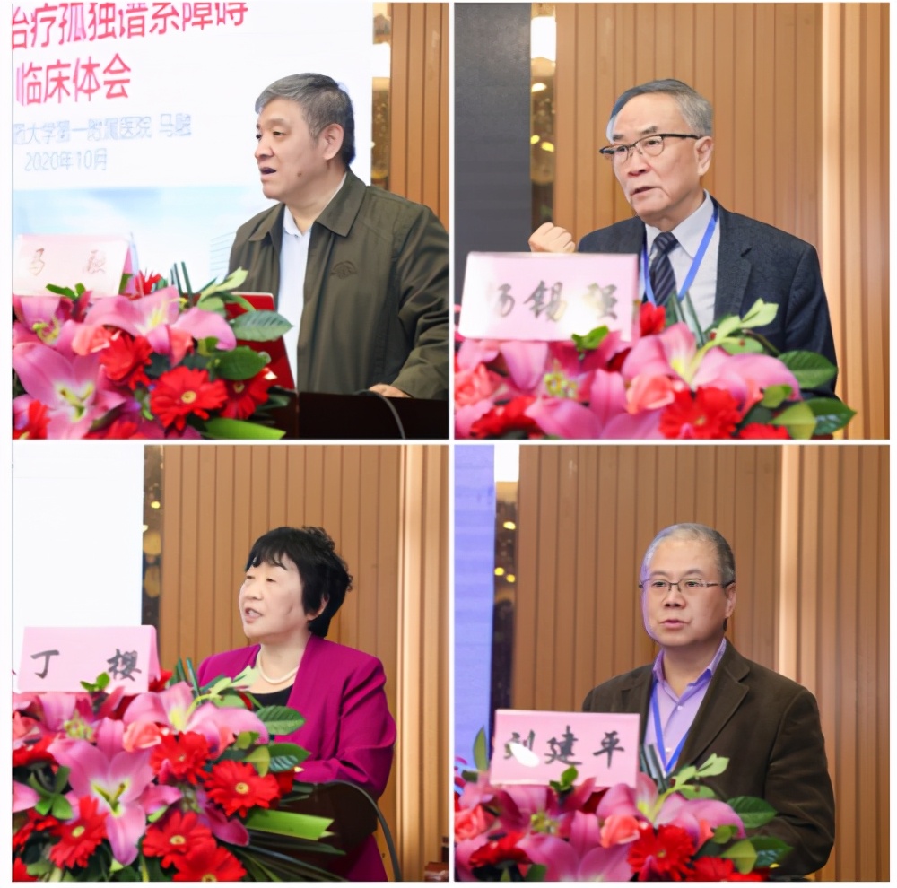 中国民族医药学会儿科分会第六次学术大会成功举办