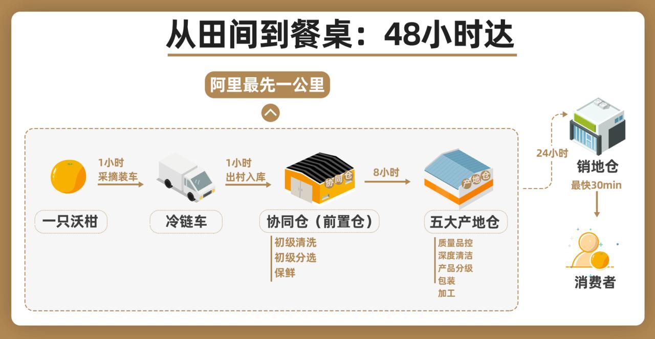 淘宝特价版大力卖食品生鲜，能否将农民收入搞上去？