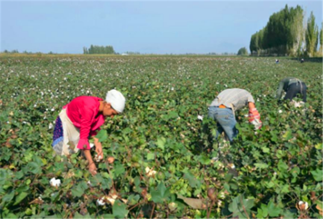 约翰逊输了？中国见招拆招进行反制，英国终于