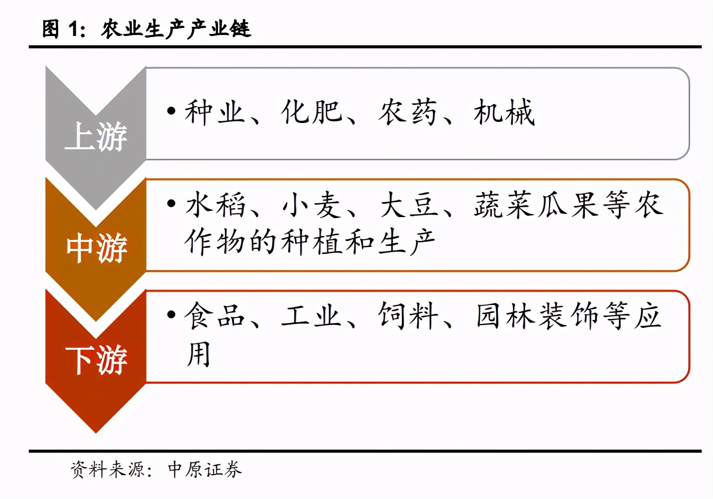 种业深度报告：生物育种十年磨一剑，喜迎政策春风