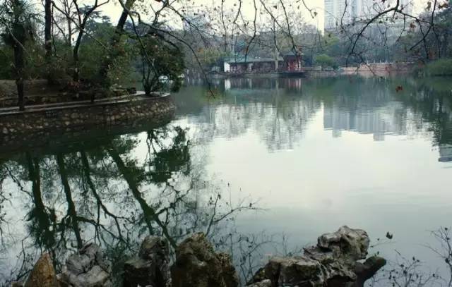 武汉原来有那么多免费的景点！还都在地铁边上