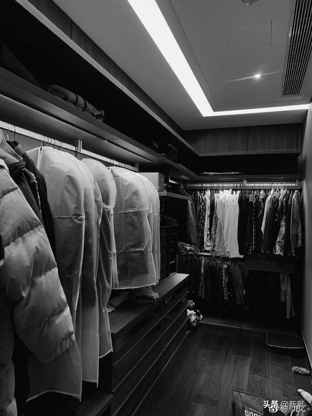 Rectify a face to die to leave in 25 years old however on the Lin Shanshan that protects Shi Jie, 