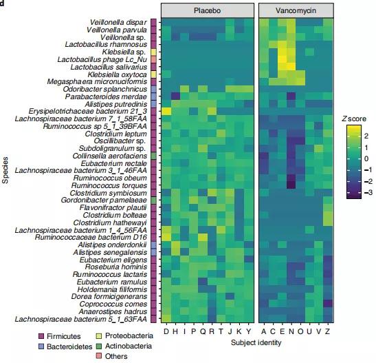節食的時候腸菌竟會幫忙