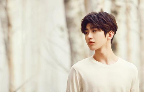 2020年最火的8大男星，肖战任嘉伦上榜，最火的他