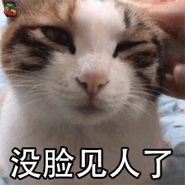 猫咪与新生儿接触需谨慎，做好四点措施后避免风险