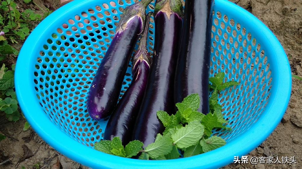 4 eggplants, no need to fry or deepfry, teach you how to eat less oil