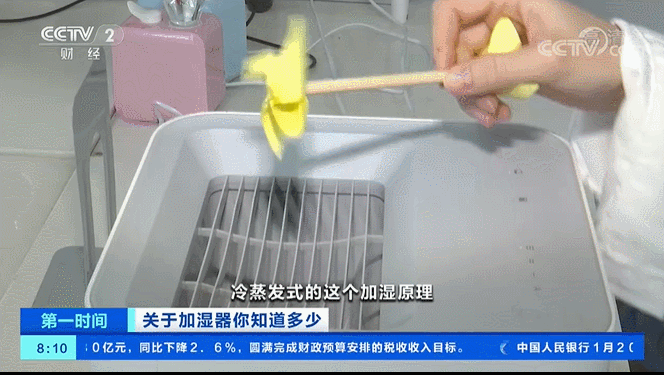 肺部|加湿器使用不当或致肺部损伤 央视曝光这个误区可别不当回事