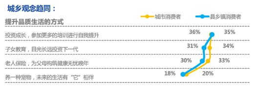 城乡“下沉市场”投资新风口，哪些产业即将成为争夺焦点