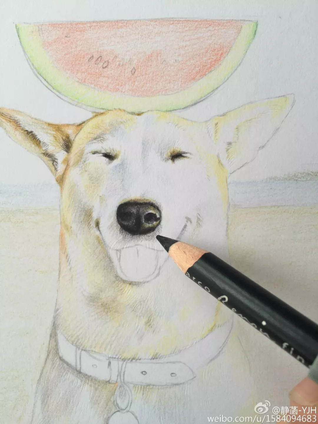 彩鉛動物入門教程｜可愛逗B狗(馬可帶色號)