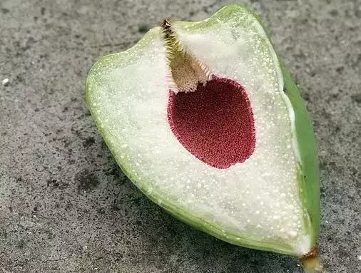 夏天来成都旅游，没有吃过冰粉，那你算是白来