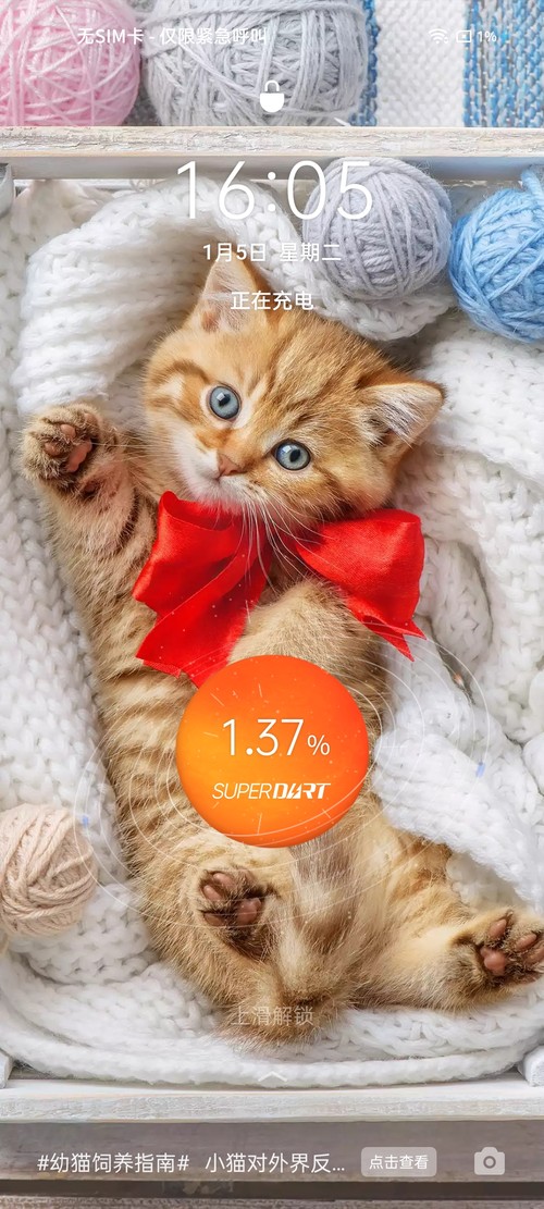 Realme is true experience of mobile phone of my V15 5G: Country the knot of tide and science and technology is fit