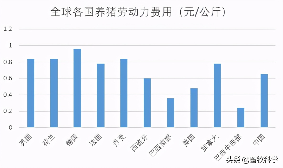 养猪成本每公斤不到6元？全球各国养猪成本大排名