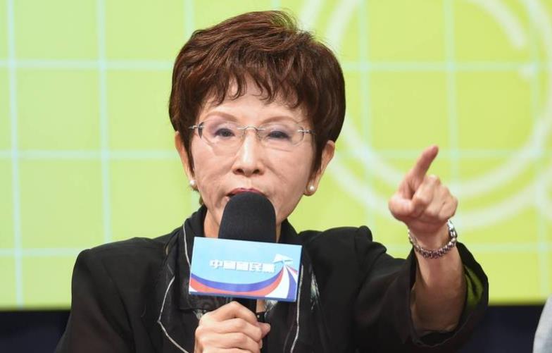 洪秀柱：�專職黨主席�構想可當個人政見，沒必要寫入黨章